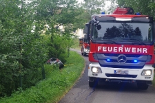Jungwald verhinderte Absturz über Waldböschung_1