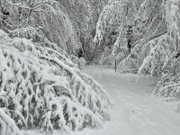 Schneefälle in Jennersdorf_3