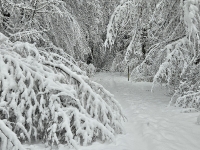 Schneefälle in Jennersdorf_3